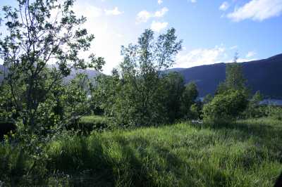  Am Langfjord 60 km vor ALta