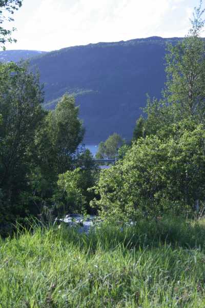  Am Langfjord 60 km vor ALta