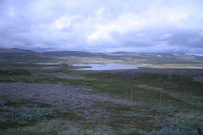 kurz vorm Kap, Norge 2018, Kogan dy 2*