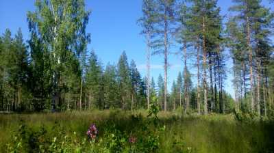 Nordschweden der Küste entlang