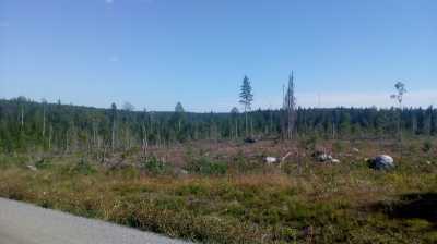 See in Schweden, nähe  Örnsköldsvik