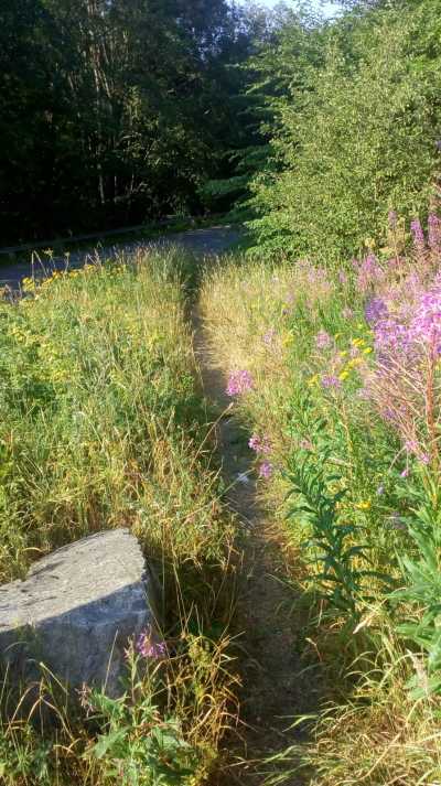 Timra, kurz vor Sundsvall, Schweden