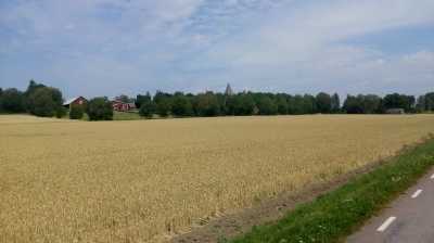 Landwirtschaft, Schweden