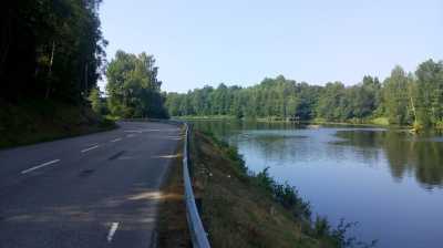 Südschweden im Wald, 