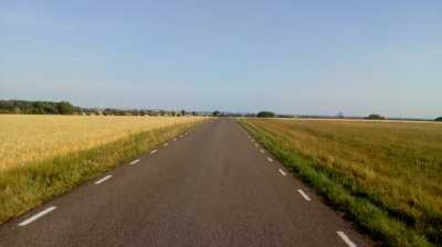 Südschweden , gelbe Felder