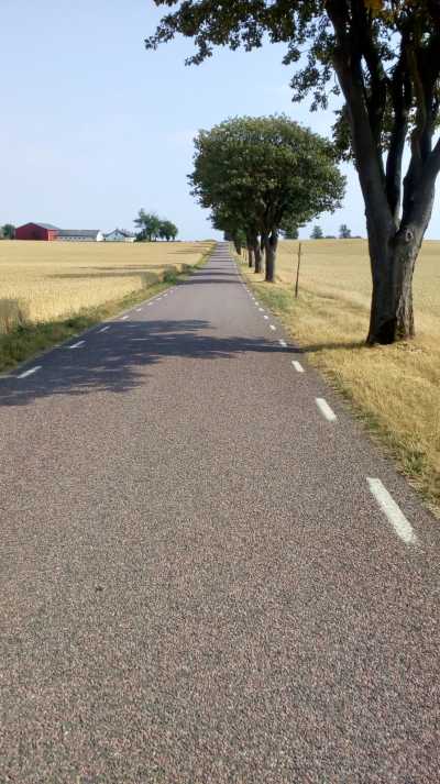  Malmö - Trelleborg, vertrocknetes Land  