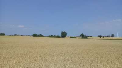  Malmö - Trelleborg, vertrocknetes Land  