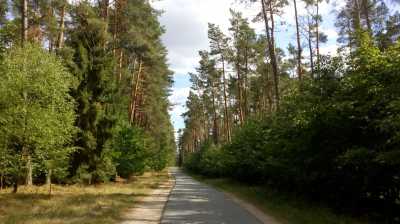Fernradwanderweg Berlin - Kopenhagen, Müritz