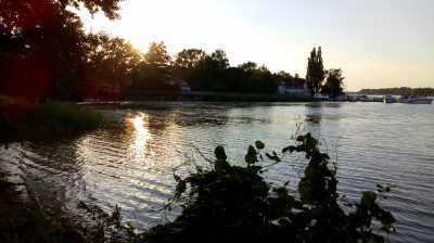 Neuruppin See