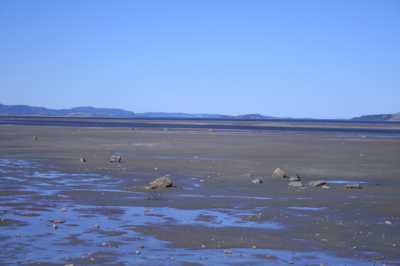 Skarvbergbucht, Nordkap, Porsangerfjord, Olderfjord - Lakselv - Skoganvarre  