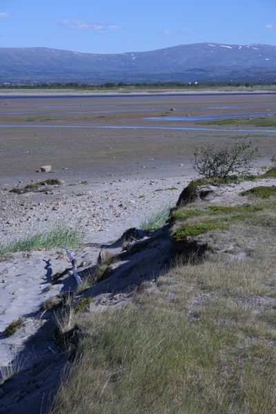 Skarvbergbucht, Nordkap, Porsangerfjord, Olderfjord - Lakselv - Skoganvarre  