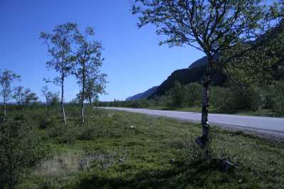 Skarvbergbucht, Nordkap, Porsangerfjord, Olderfjord - Lakselv - Skoganvarre  