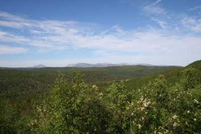  Skoganvarre - Karasjok  