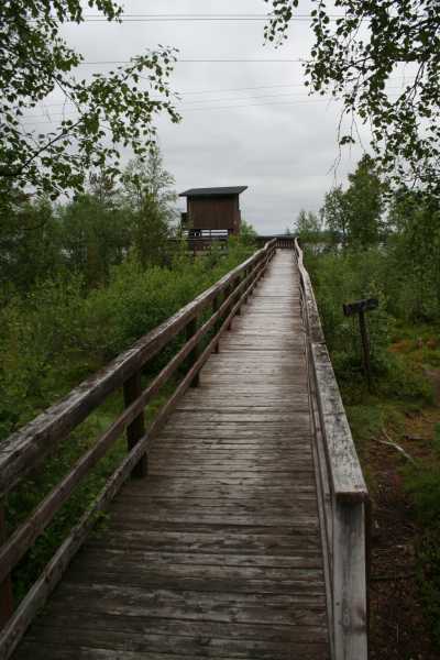  Finnland - Lappland - Mücken - Rückenwind  