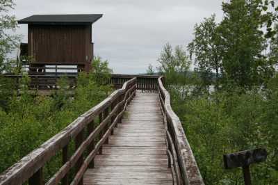  Finnland - Lappland - Mücken - Rückenwind  