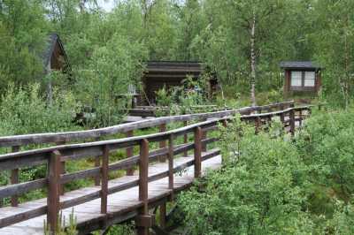  Finnland - Lappland - Mücken - Rückenwind  