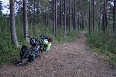 Finnland - Lappland - Mücken - Rückenwind  