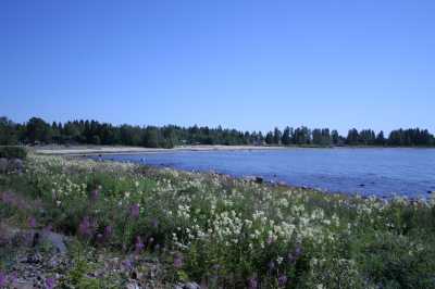 Finnischer Meerbusen in Schweden