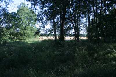 Am Lagan, letztes Allermansretten camping in Skandinavien für 2018