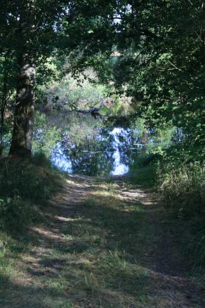 Am Lagan, letztes Allermansretten camping in Skandinavien für 2018