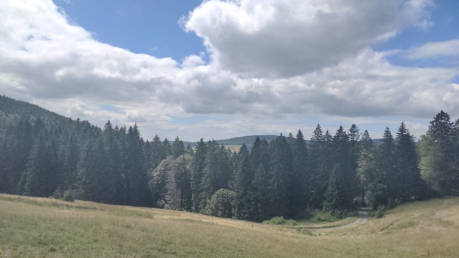 ../previews/009-Stuebi-mit-dem-Rad-15-07-19-697.jpg.medium.jpeg