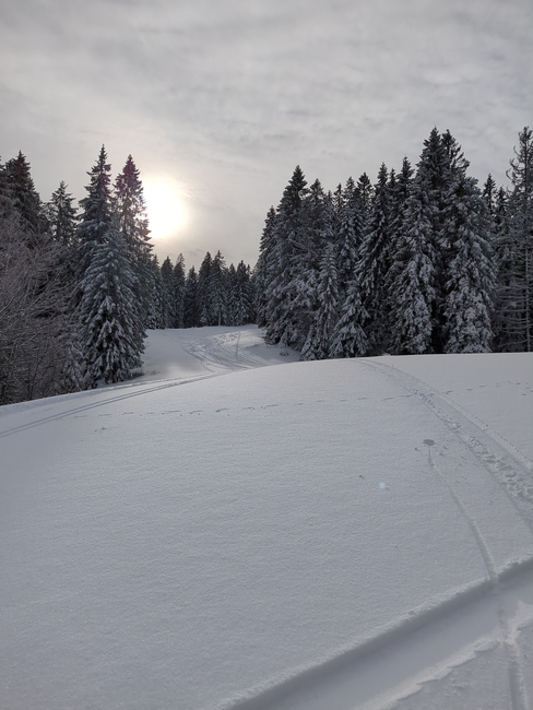 ../previews/016-Schwarzwald-Winter-2024-25-017.jpg.medium.jpeg