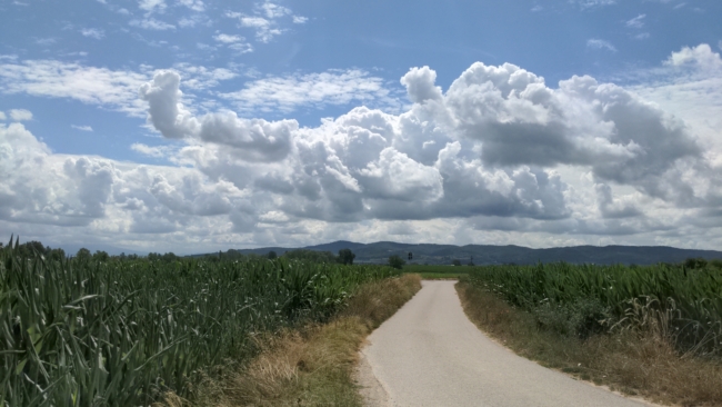 ../previews/024-Emmendingen-Colmars_1-35-51-047.jpg.medium.jpeg