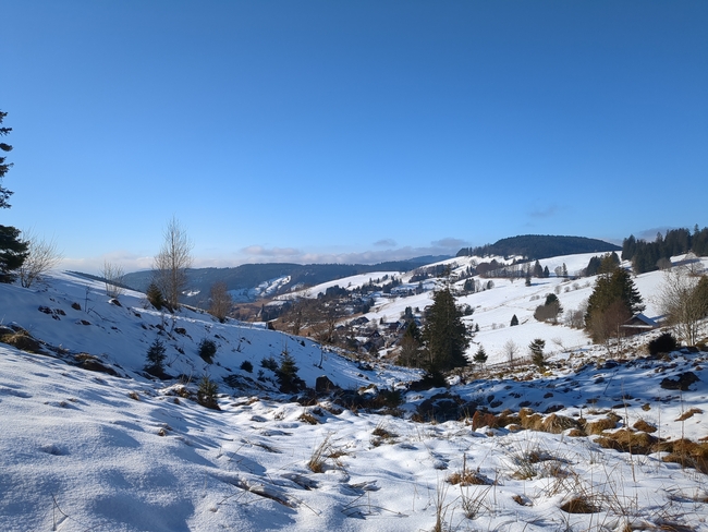 ../previews/029-Schwarzwald-Winter-2024-25-030.jpg.medium.jpeg