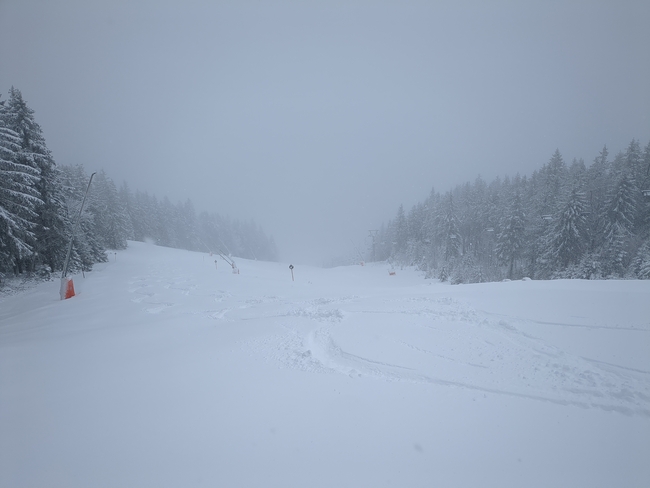 ../previews/048-Schwarzwald-Winter-2024-25-049.jpg.medium.jpeg