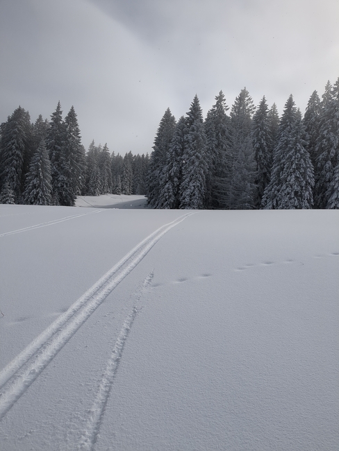../previews/050-Schwarzwald-Winter-2024-25-051.jpg.medium.jpeg