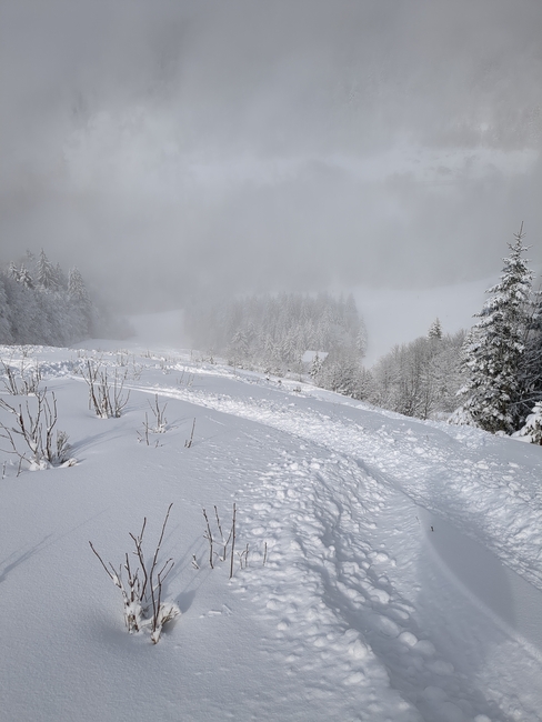 ../previews/054-Schwarzwald-Winter-2024-25-055.jpg.medium.jpeg