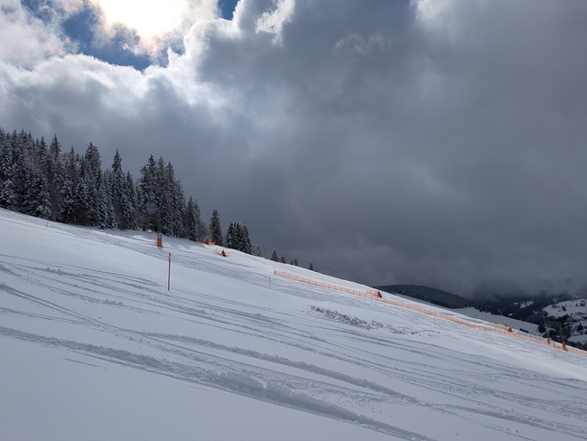 ../previews/056-Schwarzwald-Winter-2024-25-057.jpg.medium.jpeg