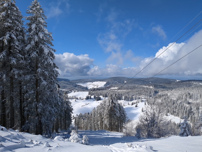 ../previews/058-Schwarzwald-Winter-2024-25-059.jpg.medium.jpeg