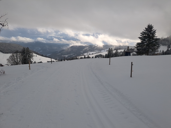 ../previews/071-Schwarzwald-Winter-2024-25-072.jpg.medium.jpeg