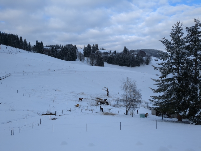 ../previews/073-Schwarzwald-Winter-2024-25-074.jpg.medium.jpeg