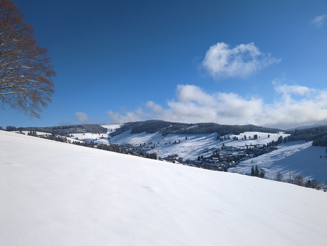 ../previews/076-Schwarzwald-Winter-2024-25-077.jpg.medium.jpeg