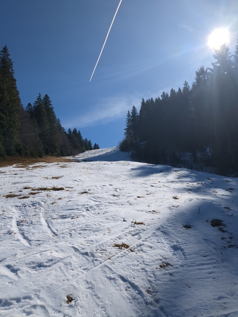 ../previews/098-Schwarzwald-Winter-2024-25-099.jpg.medium.jpeg