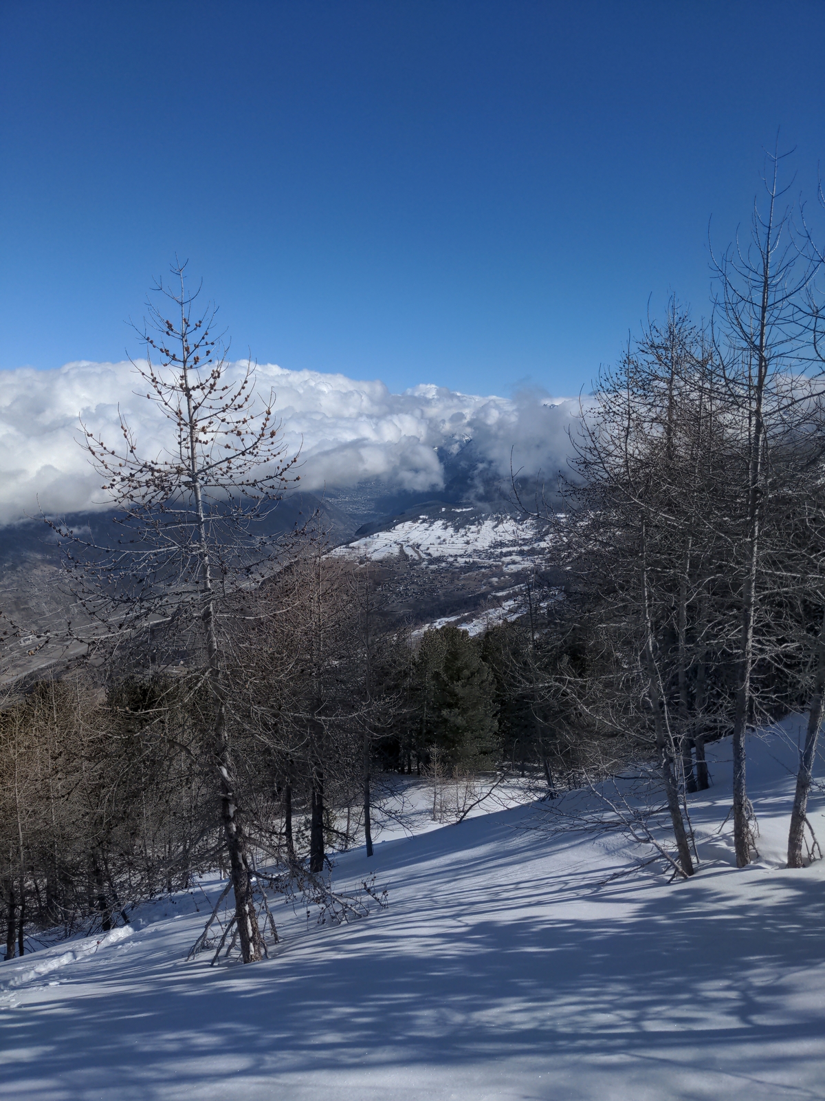 Bilder Unterbächd allis Schweiz Ginalshorn