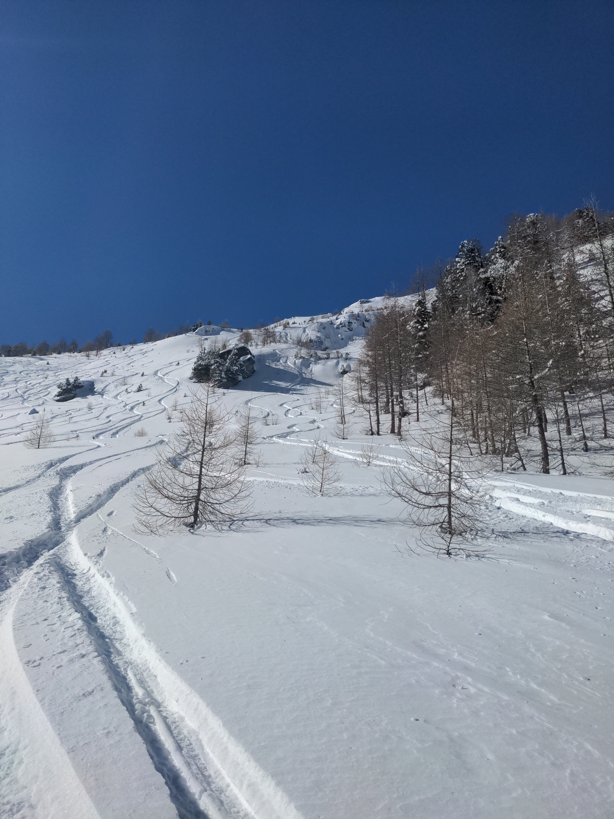 Bilder Unterbächd allis Schweiz Ginalshorn