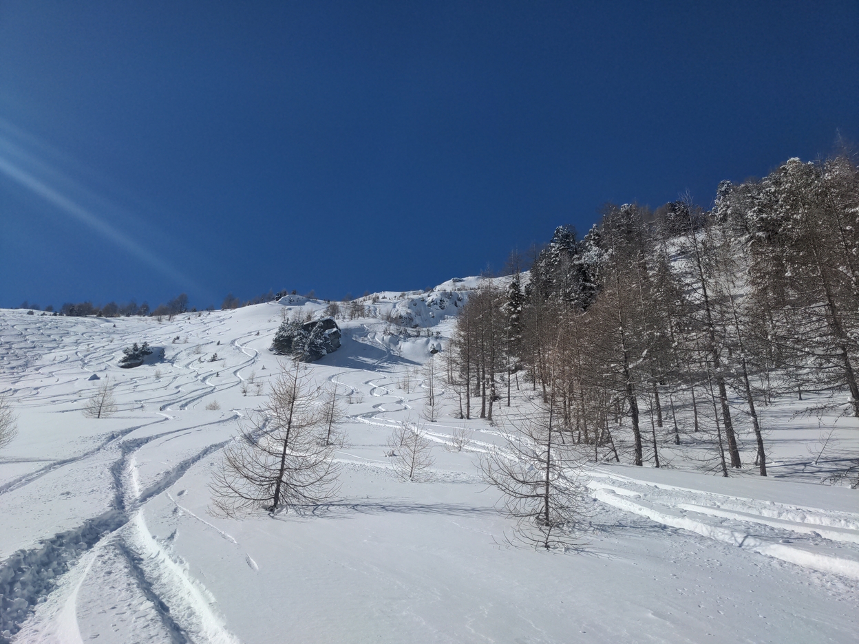 Bilder Unterbächd allis Schweiz Ginalshorn