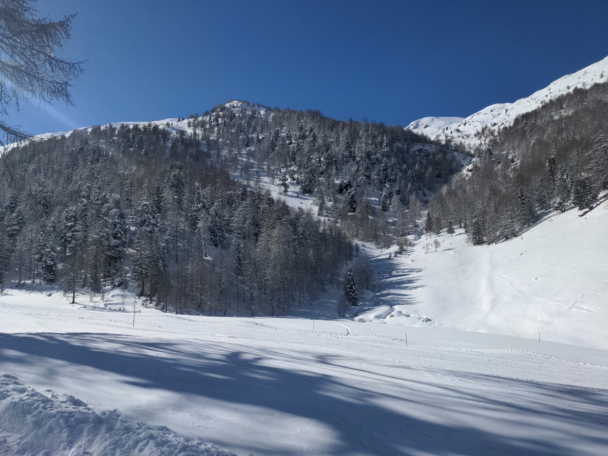 Bilder Unterbächd allis Schweiz Ginalshorn