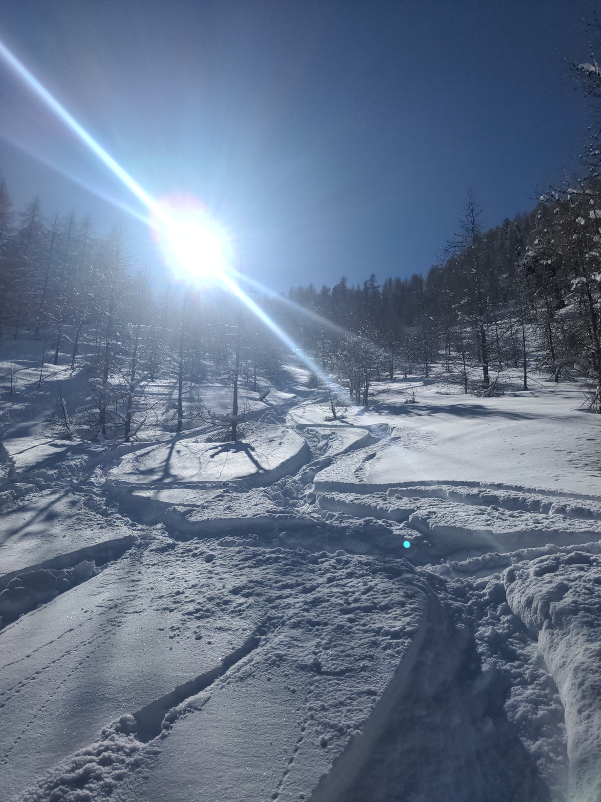 Bilder Unterbächd allis Schweiz Ginalshorn