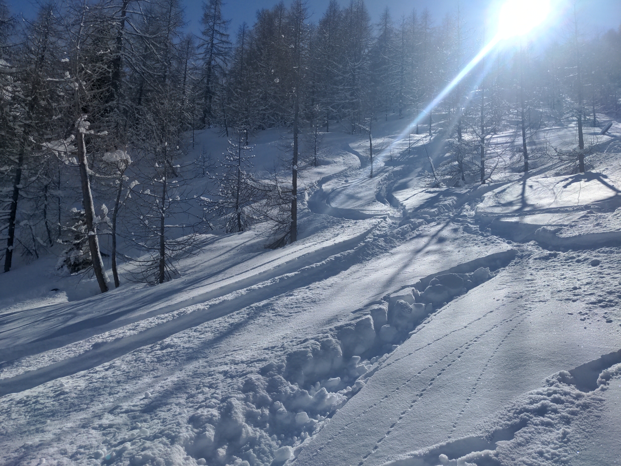 Bilder Unterbächd allis Schweiz Ginalshorn