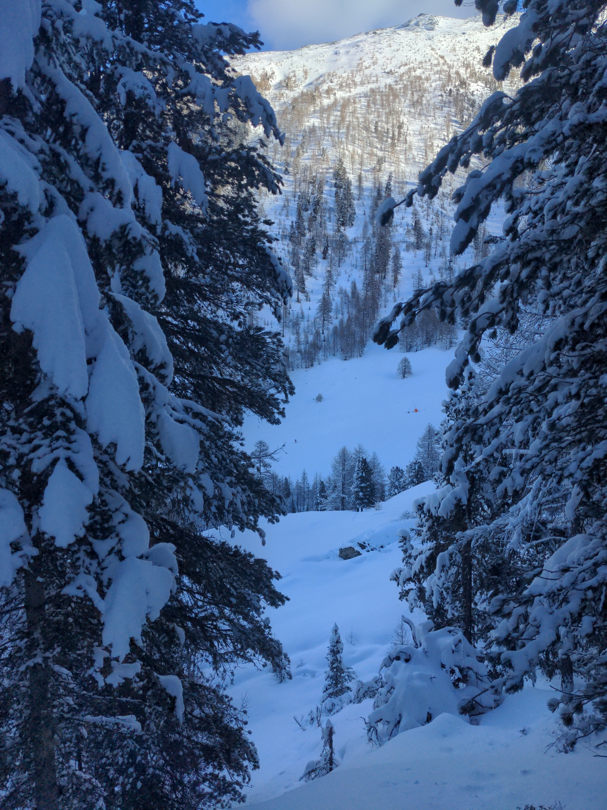Bilder Unterbächd allis Schweiz Ginalshorn