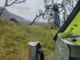 thumbnails/000-IMG_20180629_090320.jpeg.small.jpeg