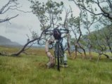 thumbnails/001-IMG_20180629_090345.jpeg.small.jpeg