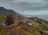 ../thumbnails/035-IMG_20180619_192038.jpeg.small.jpeg